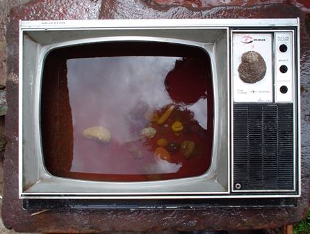 TV-valicha1