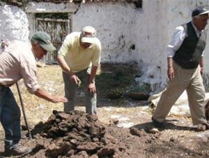 ClanAraoz02
