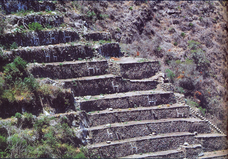 LlamasChoquequirao03